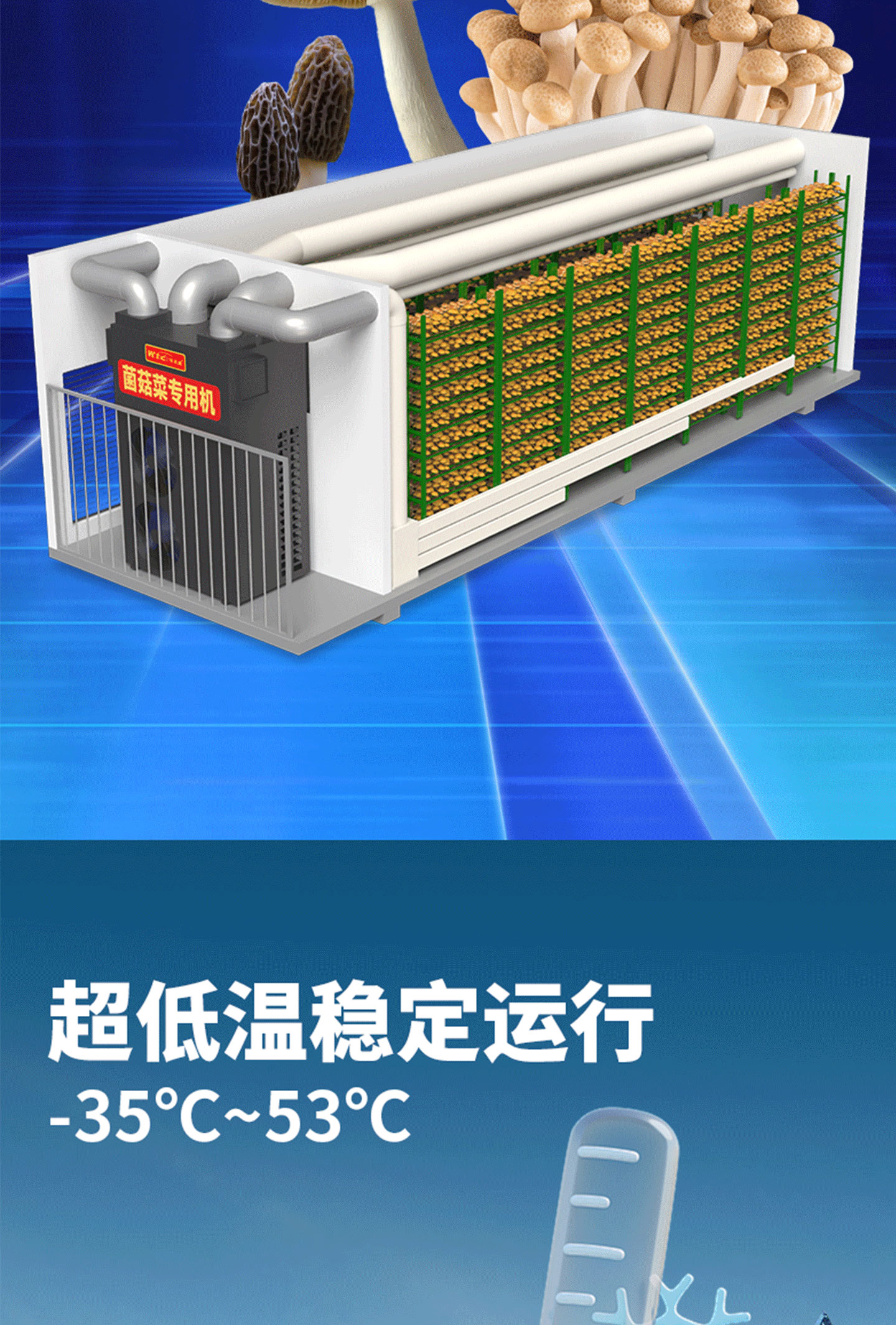 菌菇菜種植方(fang)艙